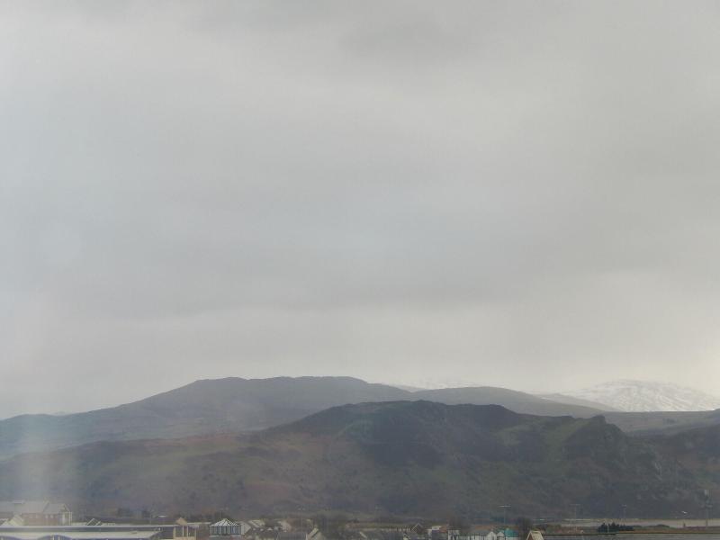 The Oasis image