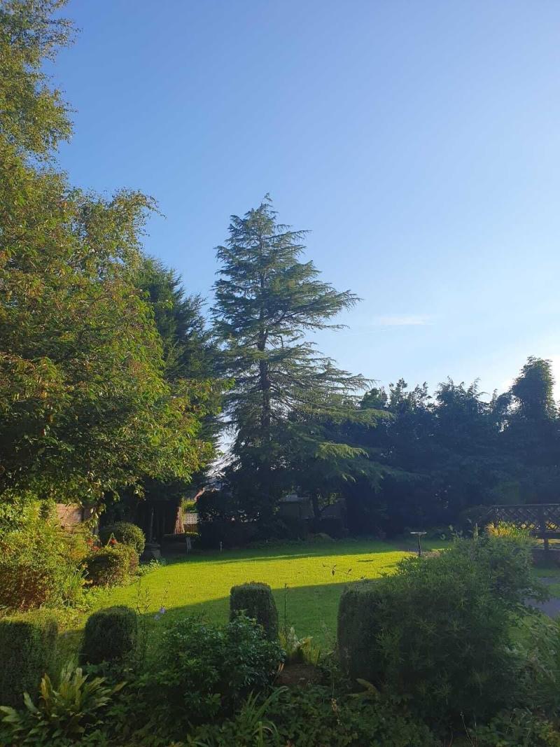 The Manor Guesthouse image