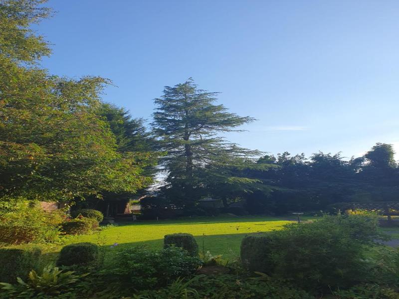 The Manor Guesthouse image