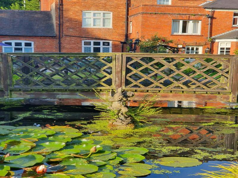 The Manor Guesthouse image