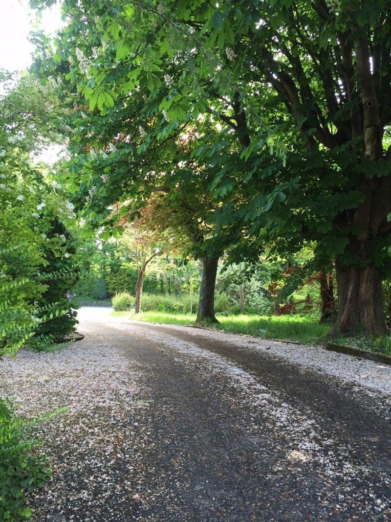 Llwyn Country House image