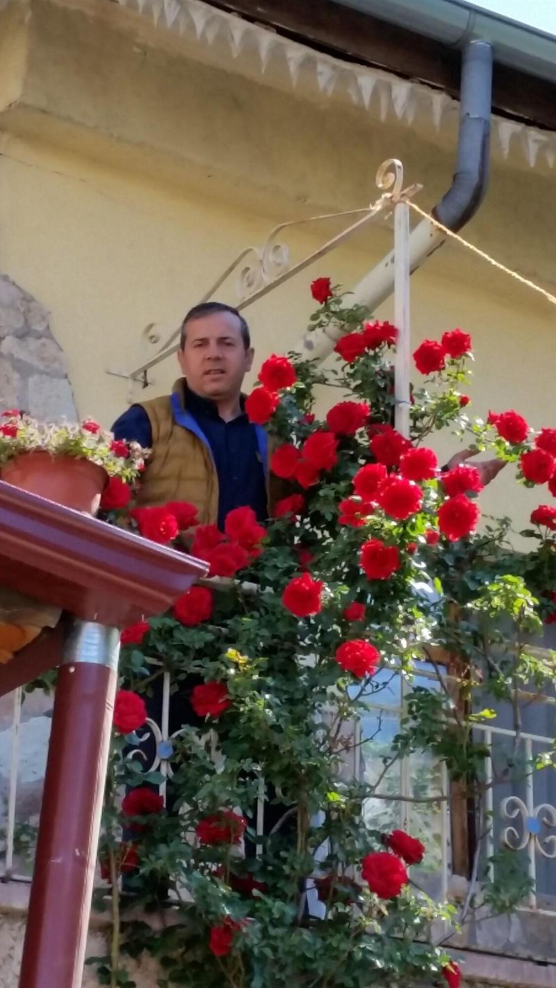Anatolia Cave Hotel Pansion image