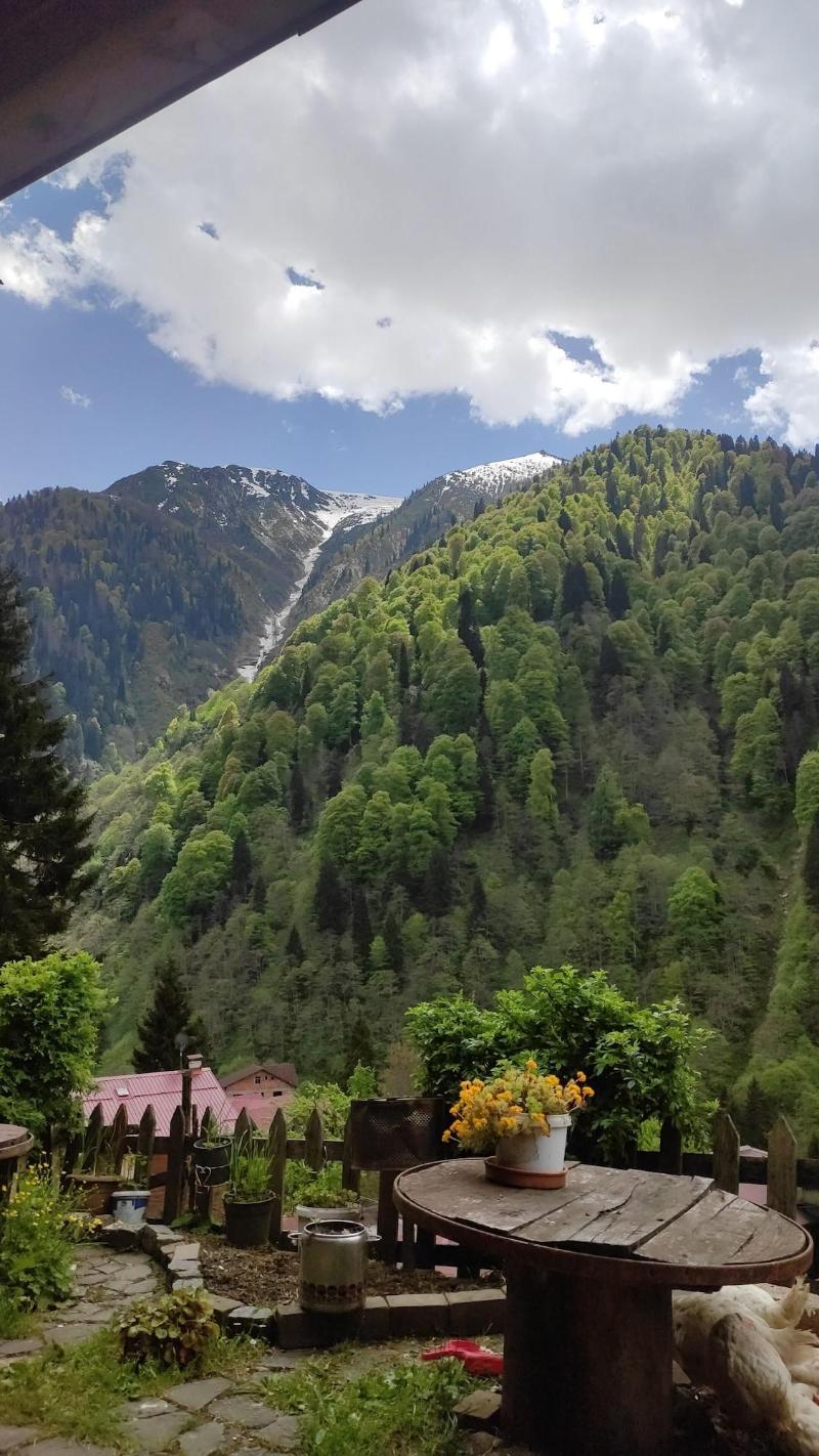 Fora Pansiyon image