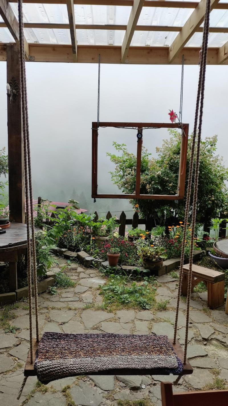 Fora Pansiyon image