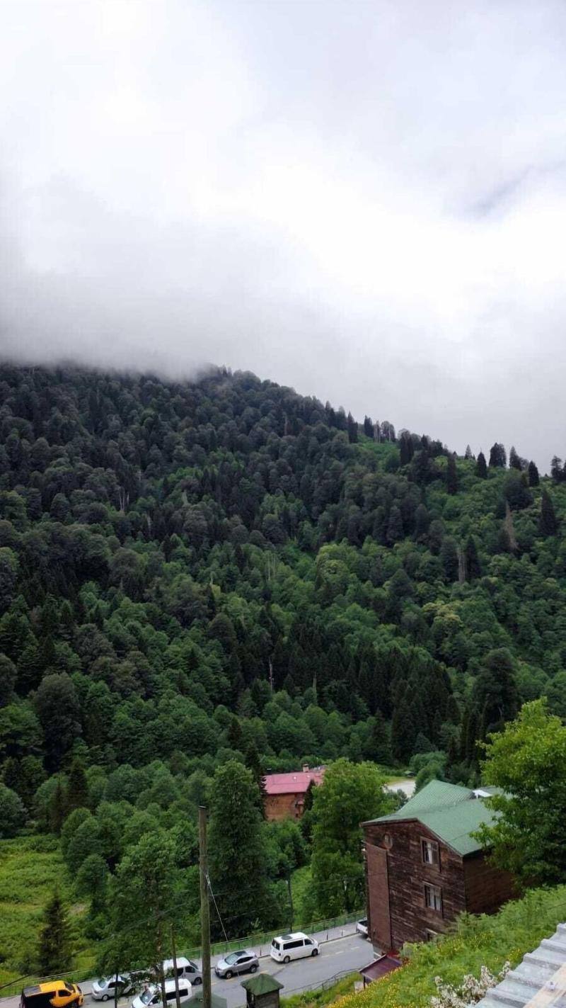 Fora Pansiyon image