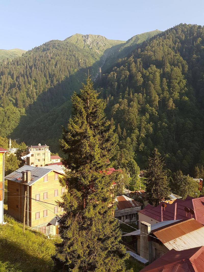 Fora Pansiyon image