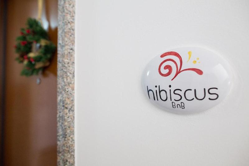 Hibiscus image