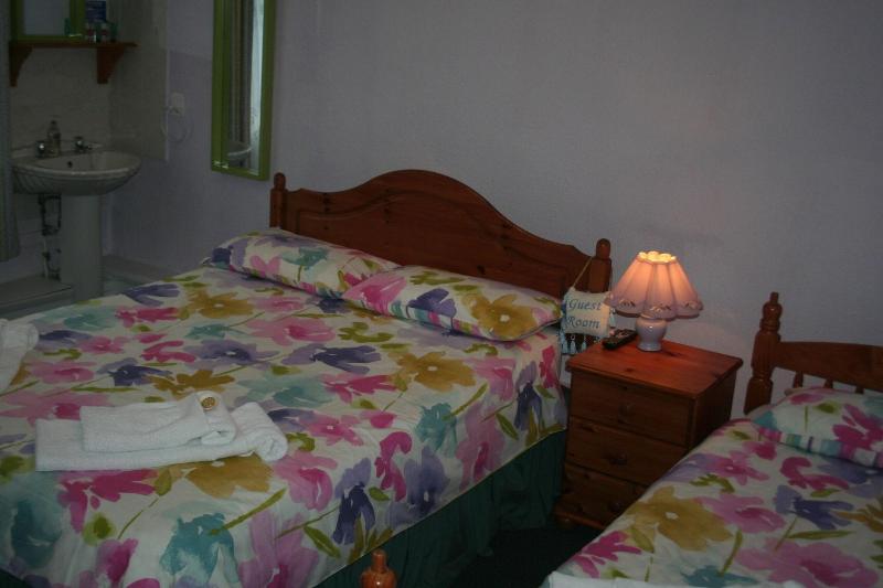 The Haldon Guest House image