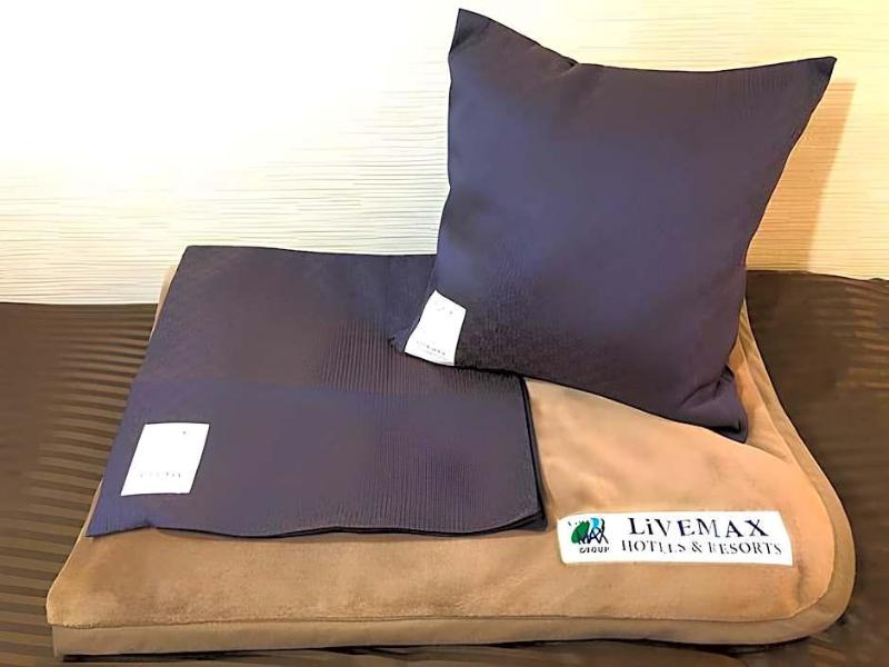 Hotel Livemax BUDGET miharaekimae image