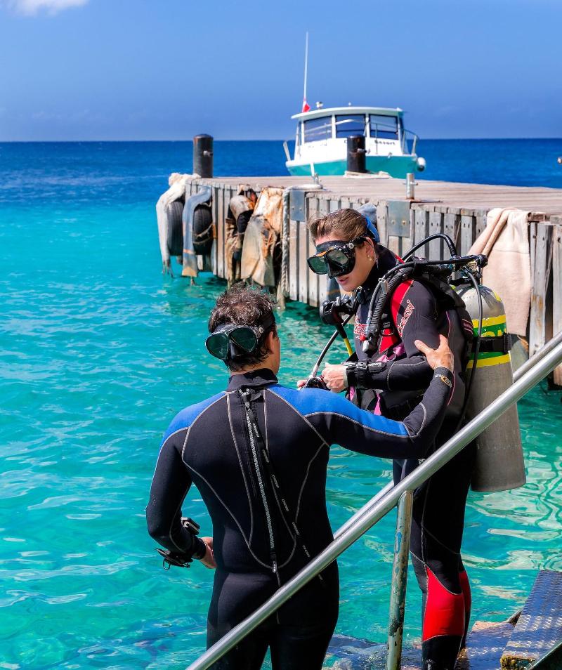 Buddy Dive Resort image