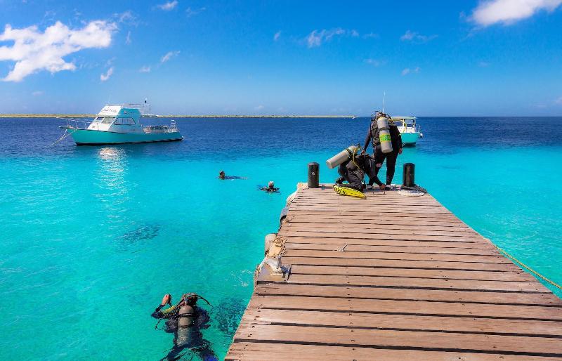 Buddy Dive Resort image