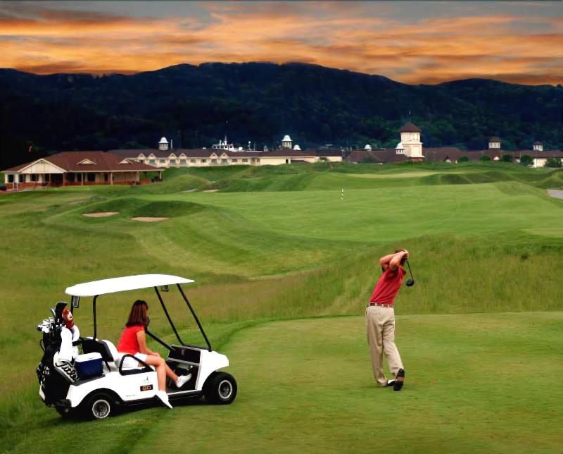 Rising Star Casino Resort image