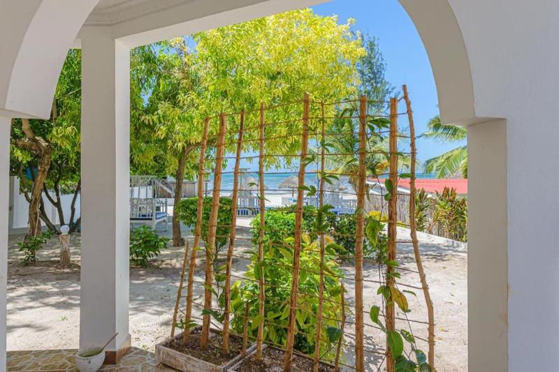 Geo Zanzibar Resort image