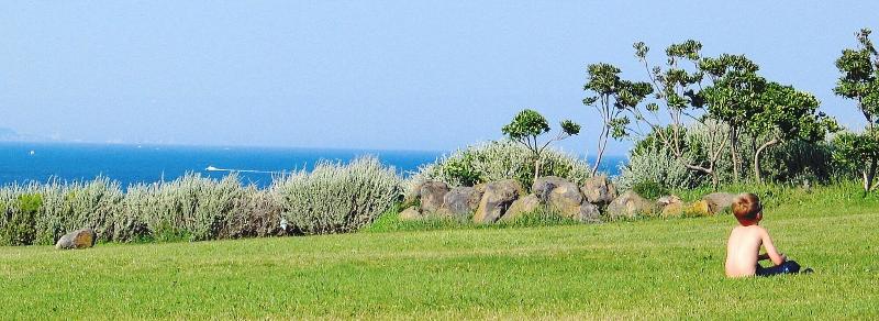 Lagrange Vacances Les Pescalunes image