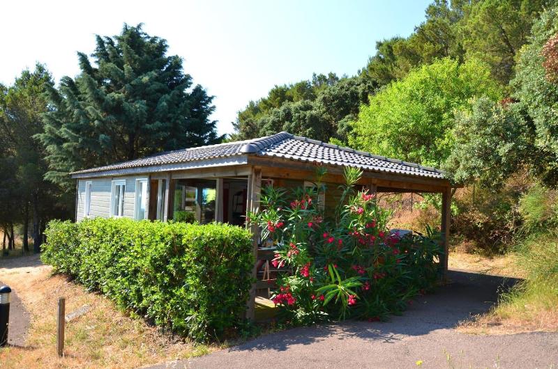 Lagrange Vacances Les Pescalunes image