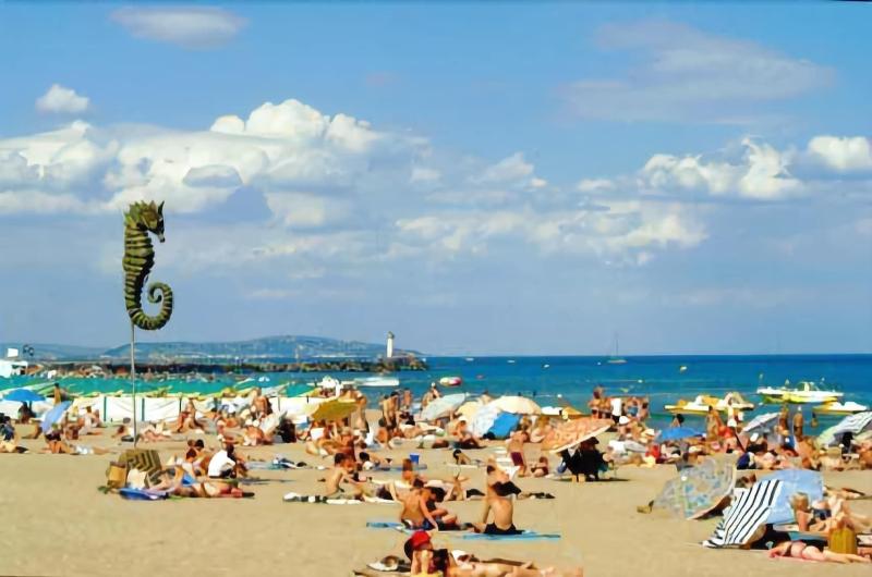 Lagrange Vacances Les Pescalunes image