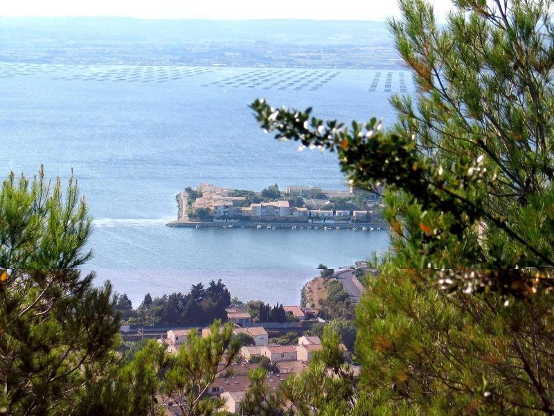 Lagrange Vacances Les Pescalunes image