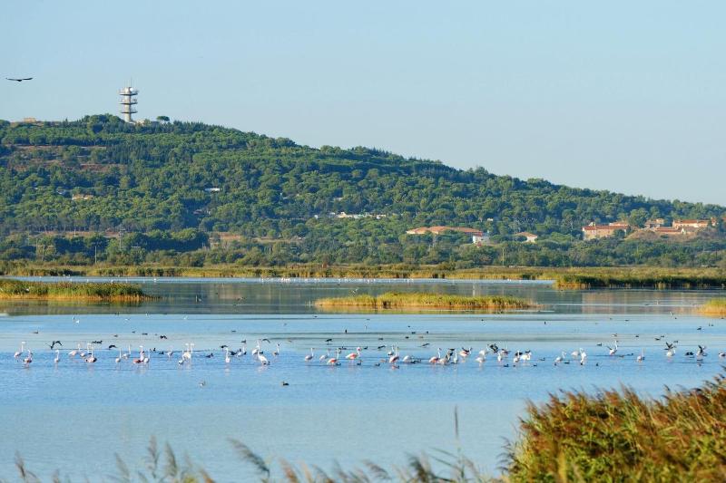 Lagrange Vacances Les Pescalunes image