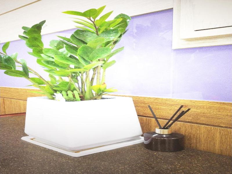 Golden Park Hotel image