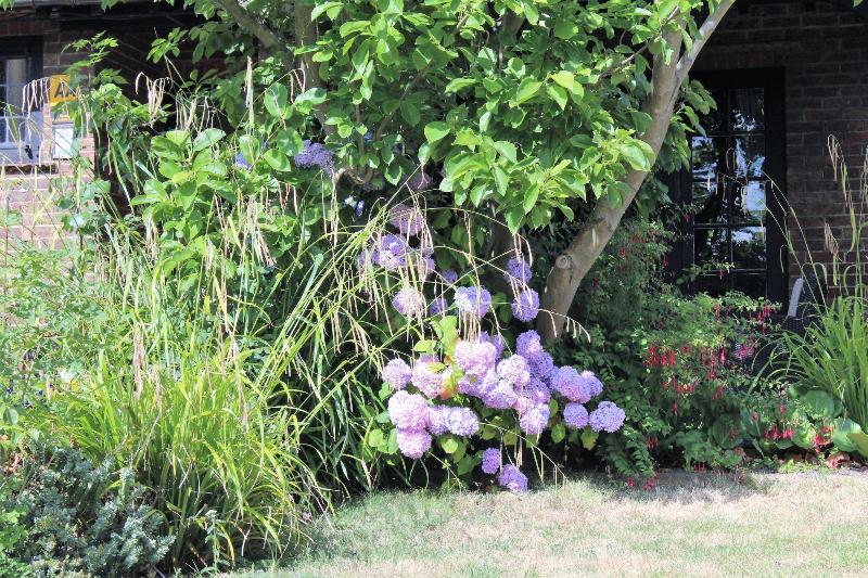 St. Stephens Guest House image