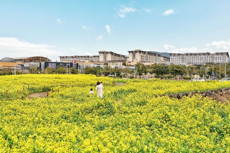 Marriott Jeju Shinhwa World Hotels & Resorts image