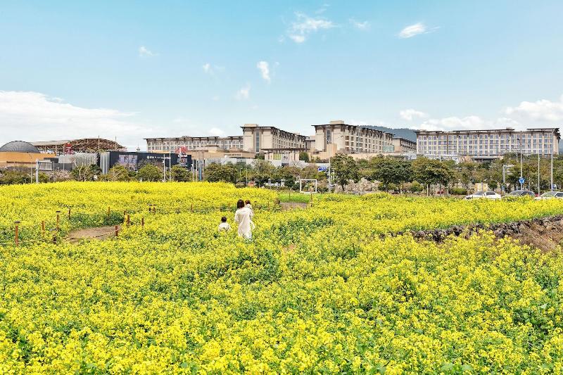Marriott Jeju Shinhwa World Hotels & Resorts image