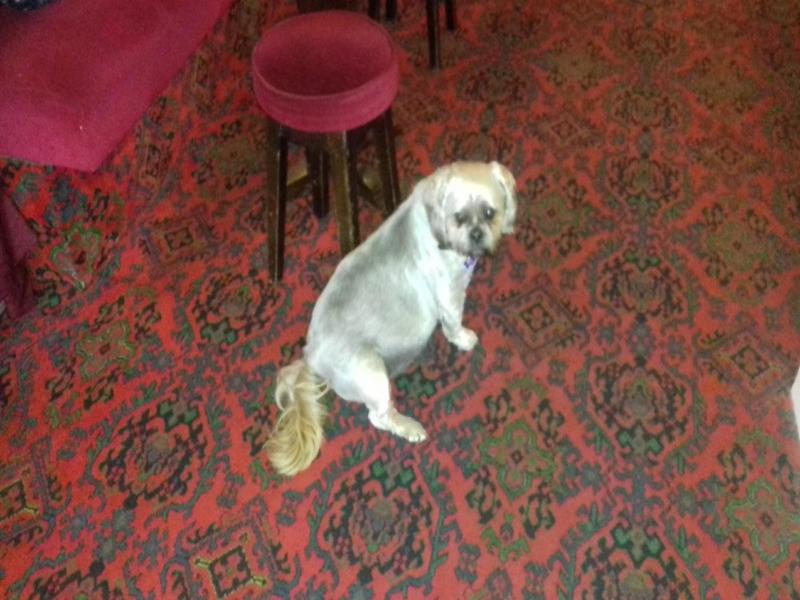 Elmfield Hotel image