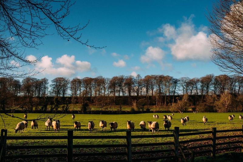 Mitton Hall Country House Hotel image