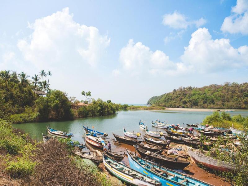 The Bay Agonda image