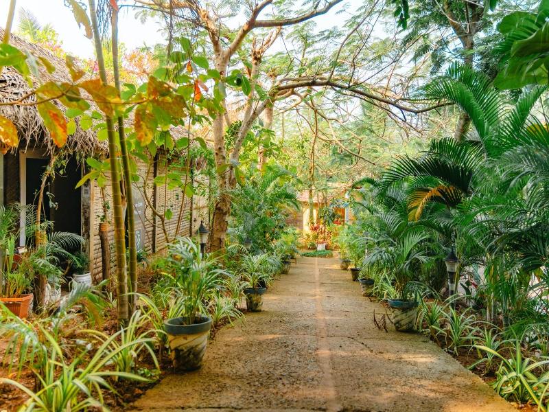 The Bay Agonda — general view