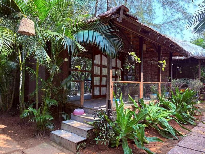 The Bay Agonda image