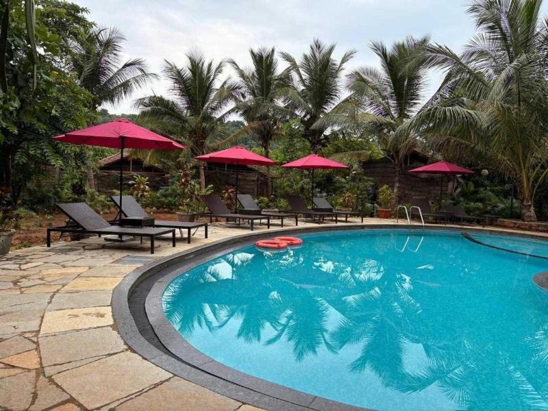 The Bay Agonda image