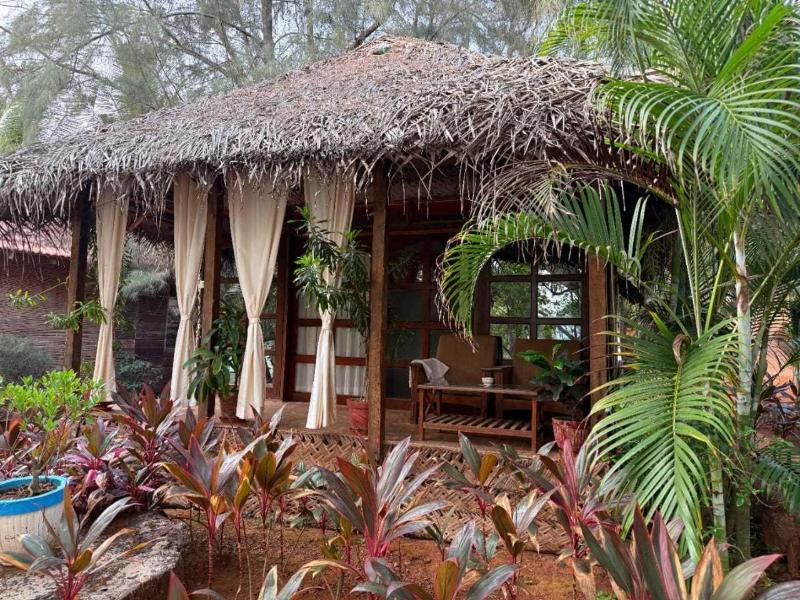 The Bay Agonda image