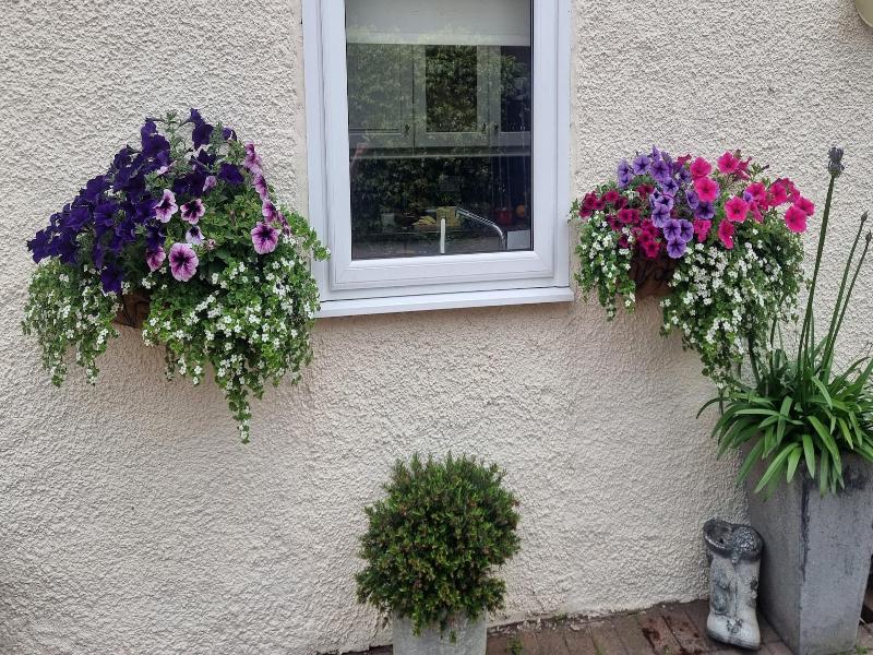 St Leonards Guest House image