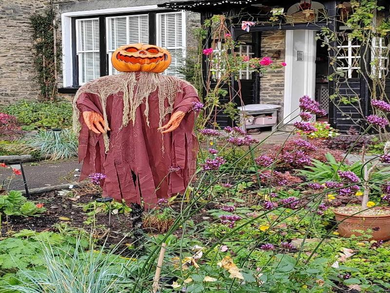 Puddle Duck Lodge image