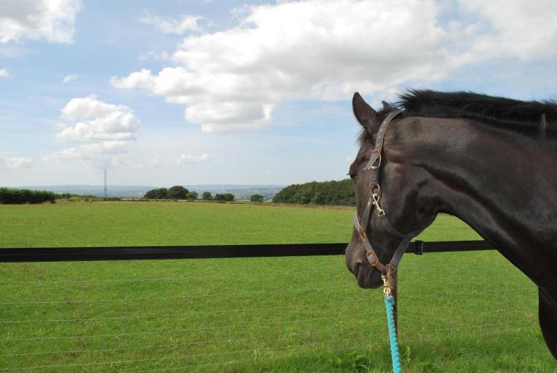 Toghill House Farm image