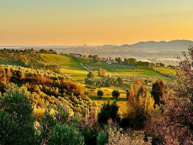Agriturismo Costa Etrusca image