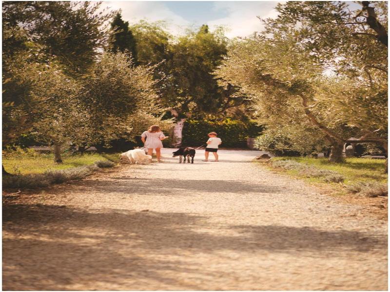 Agriturismo Costa Etrusca image