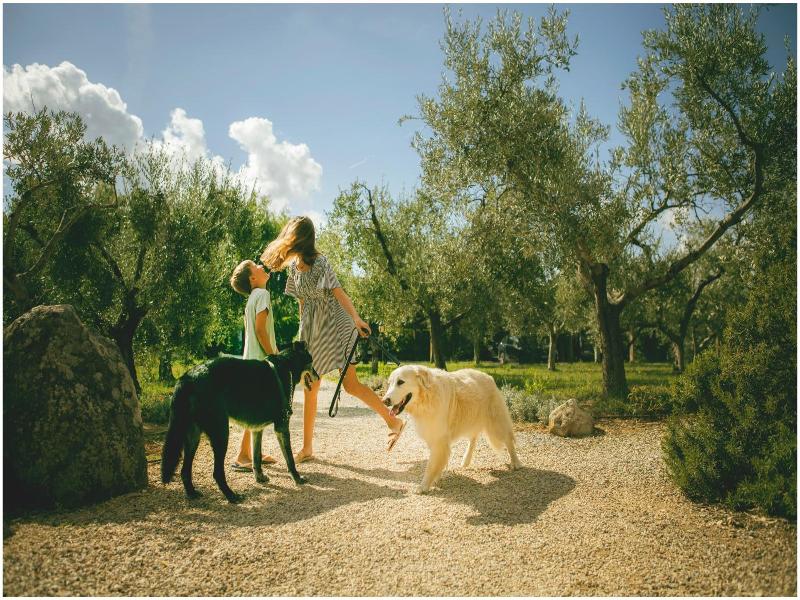 Agriturismo Costa Etrusca image