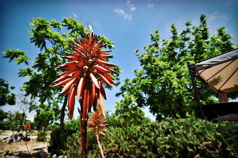 Masseria Pitanni image