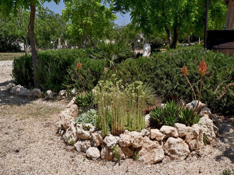 Masseria Pitanni image