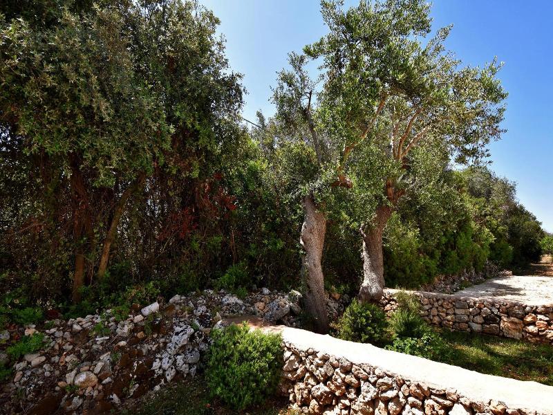 Masseria Pitanni image