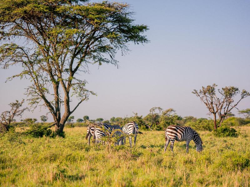 Olare Mara Kempinski Masai Mara image