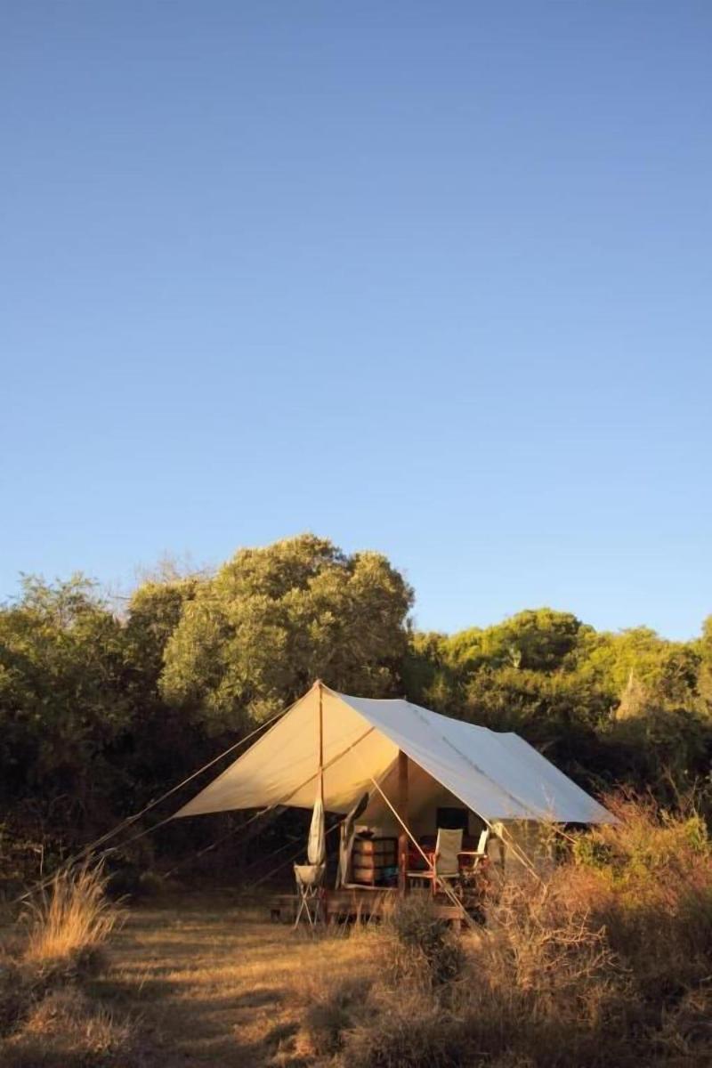 Quatermain's 1920's Safari Camp-Amakhala Game Rese — general view