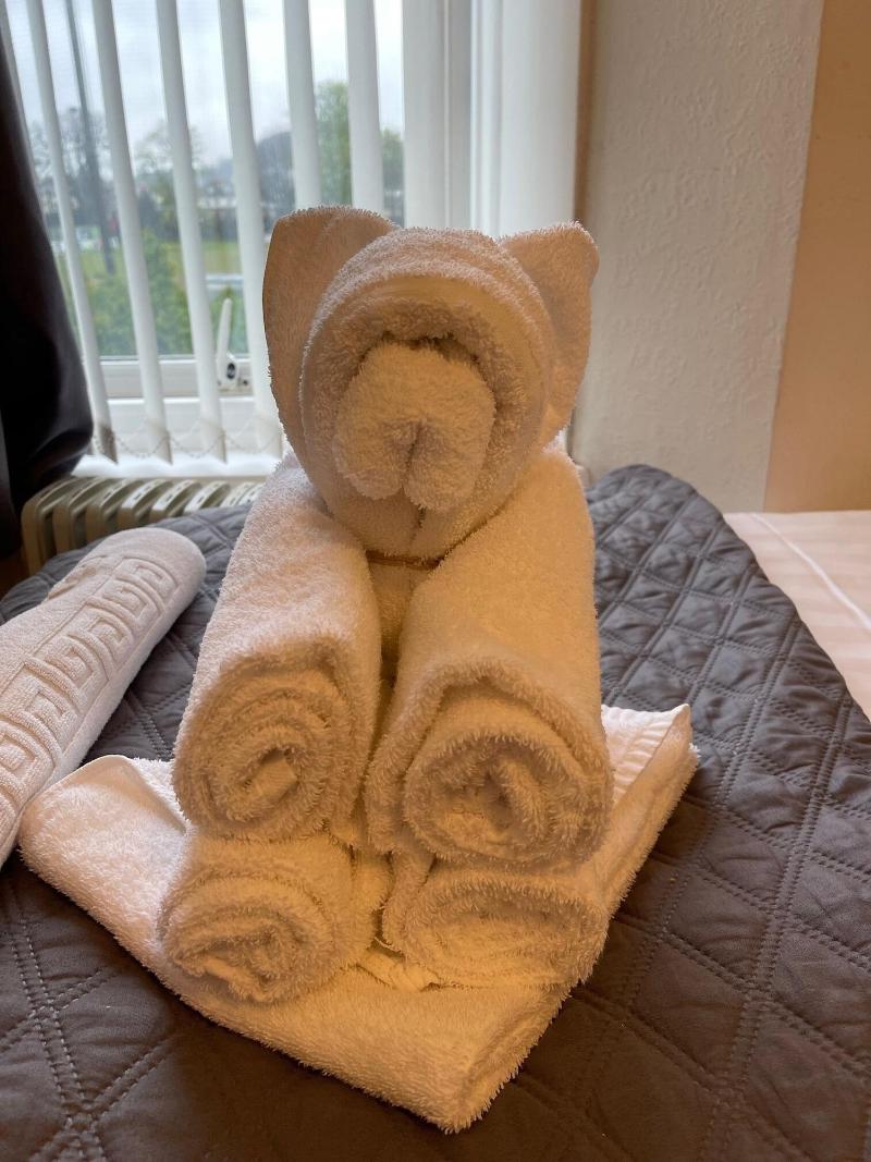 The Ashleigh Guesthouse image