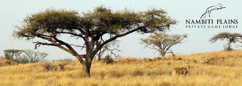 Nambiti Plains Private Game Lodge