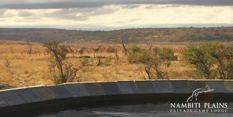 Nambiti Plains Private Game Lodge