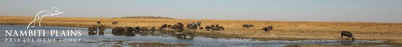 Nambiti Plains Private Game Lodge