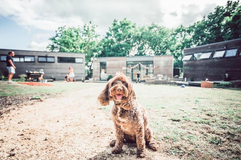 Clophill Eco Lodges image