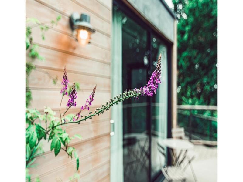 Clophill Eco Lodges image